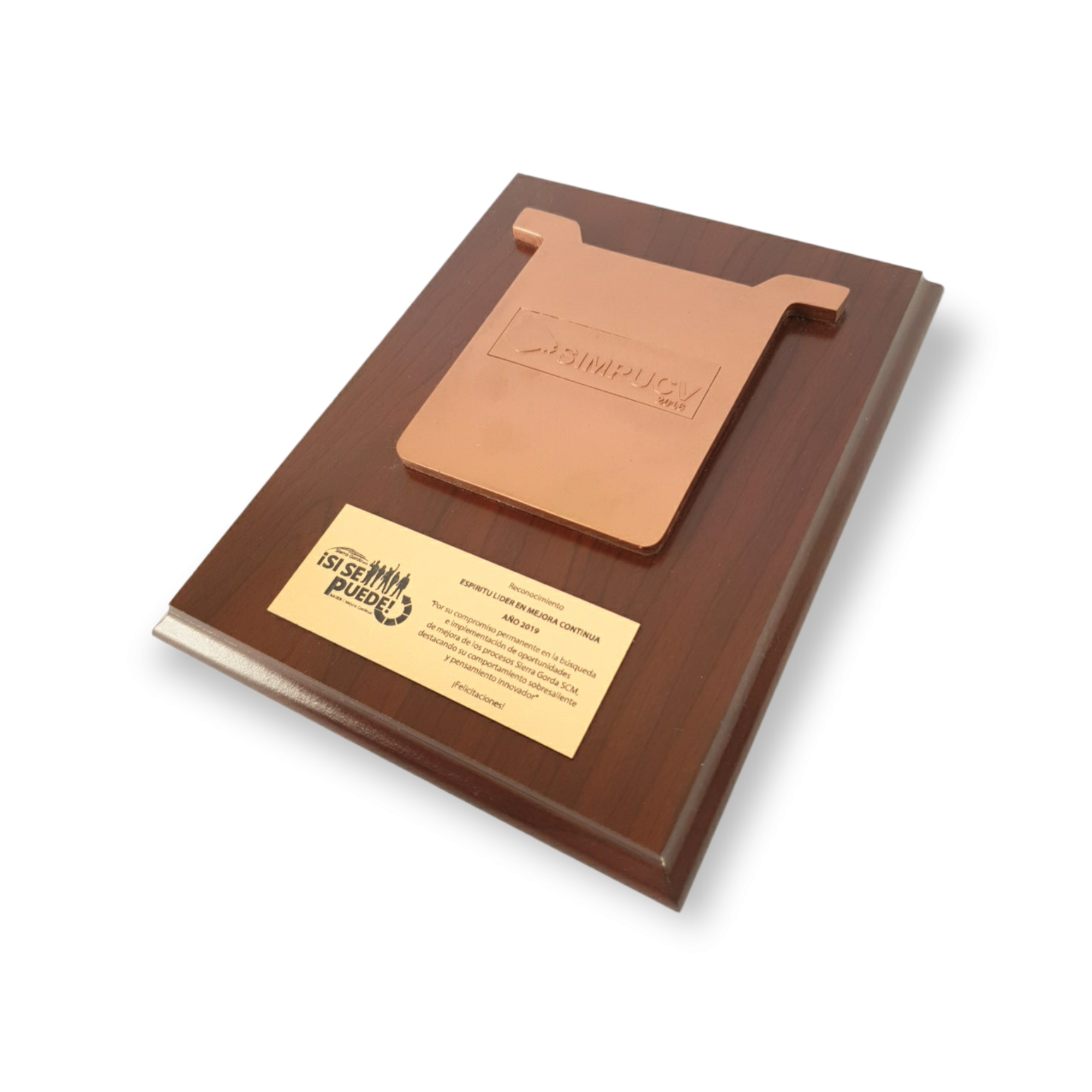 Galvano Cátodo De Resina Con Logo Sobre Relieve Simpucv Placa Grabada
