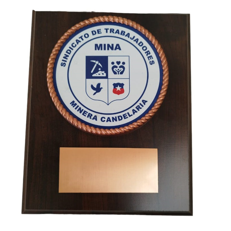 Galvano Placa Metálica Con Logo Sindicato En Color, Y Cordón 3D Cobrizado, Placa Grabada