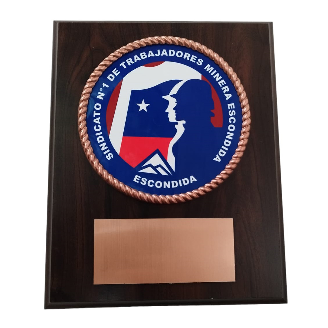 Galvano Placa Metálica Con Logo Sindicato En Color, Y Cordón 3D Cobrizado, Placa Grabada