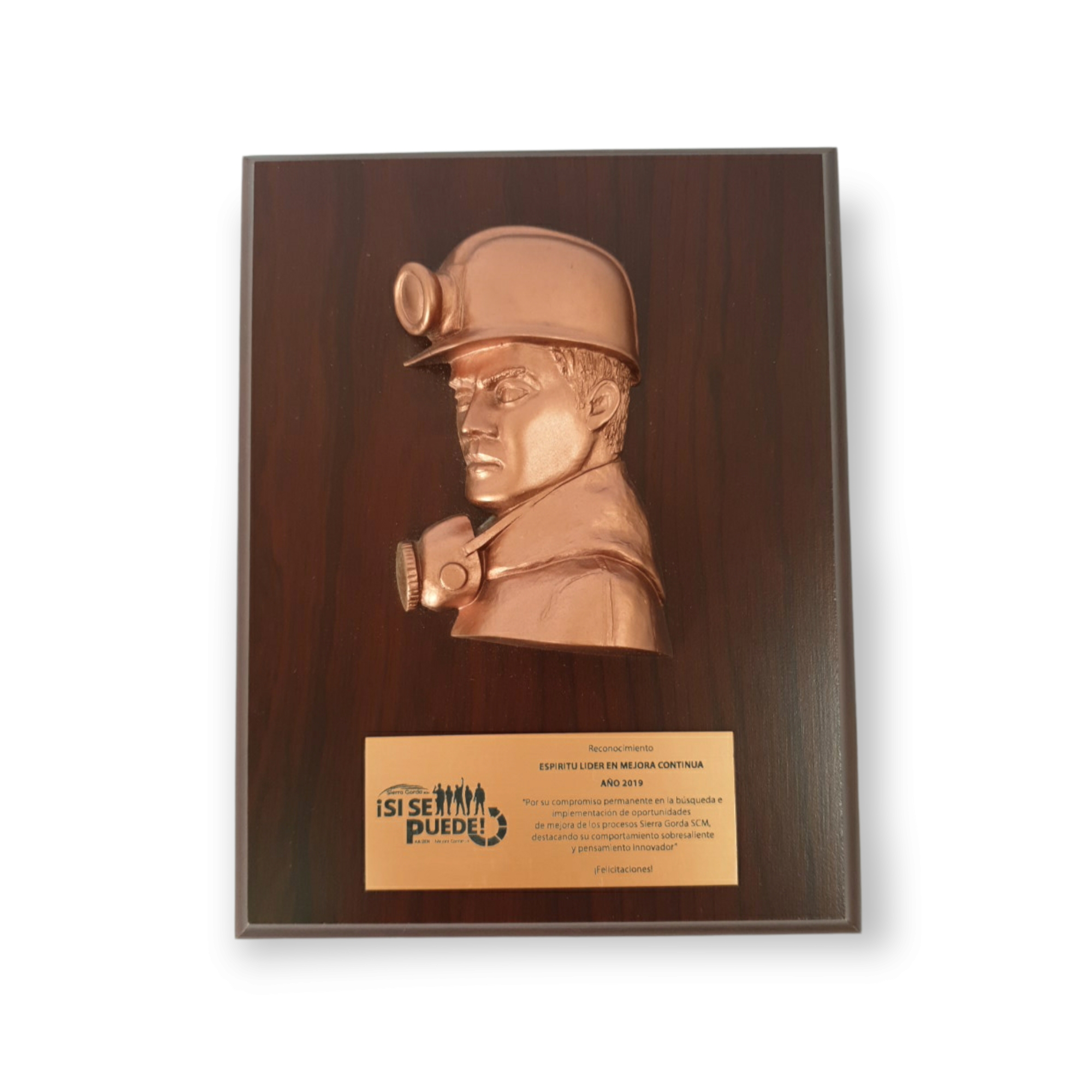 Galvano Rostro Minero En Resina Color Cobre Con Placa Grabada