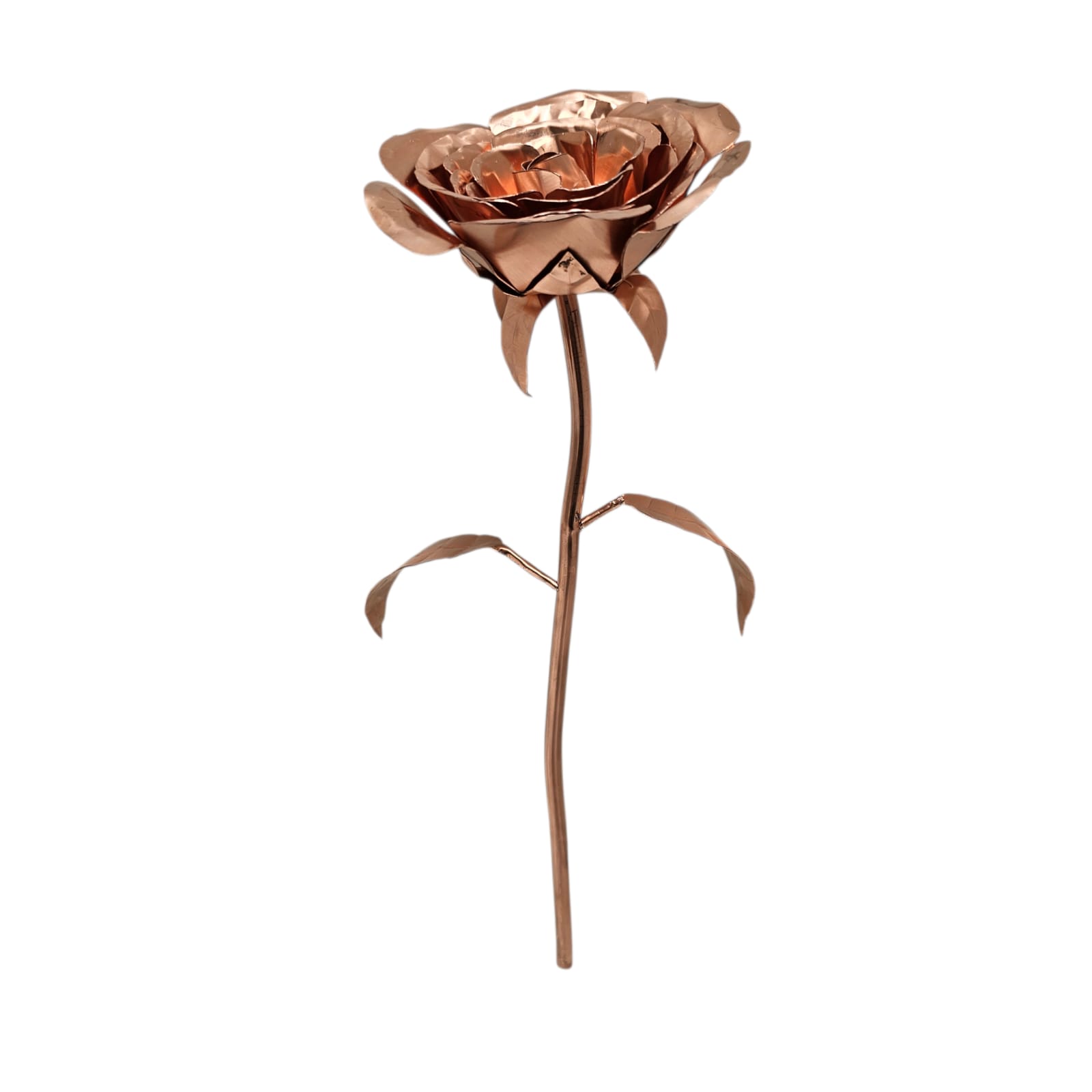 Rosa De Cobre Con Placa Grabada (Producto A Pedido)